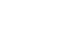 logo procidys