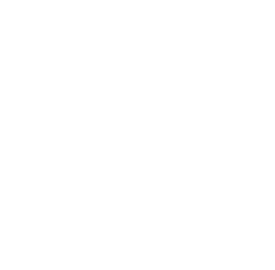 procidys areas of intervention